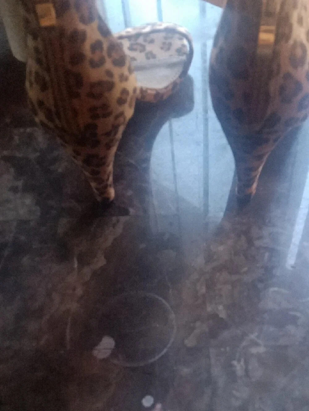 Herstyle bold leopard